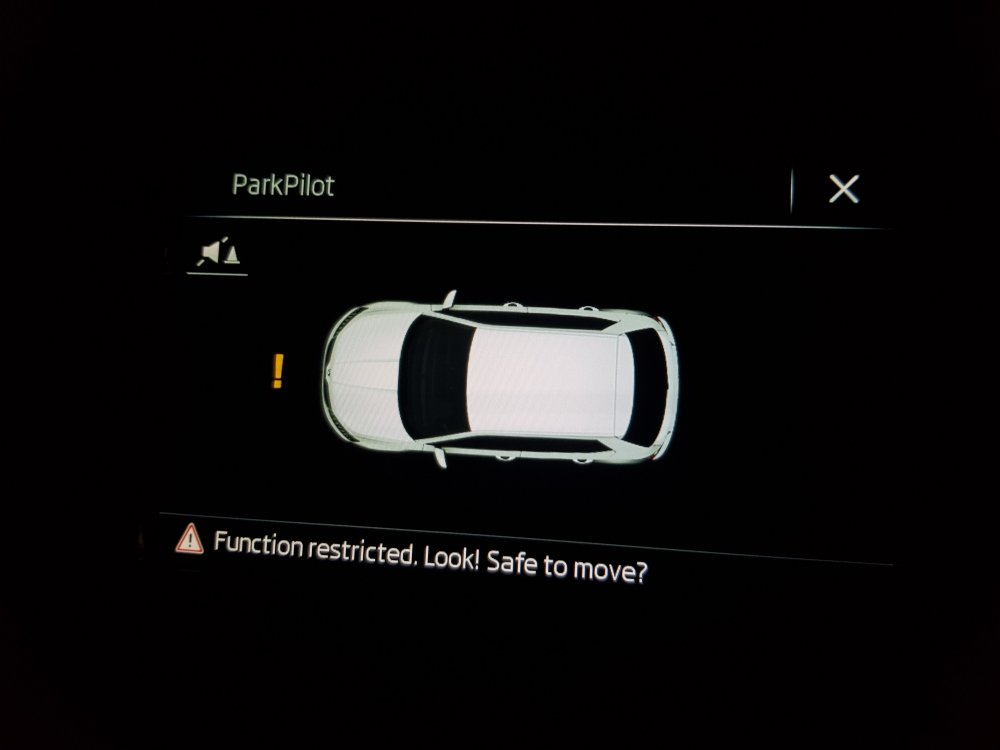 Parking Sensor fault? Skoda Fabia Mk III (20142021) BRISKODA