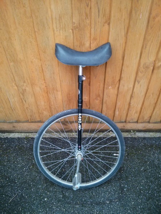 unicycle.thumb.jpg.b2868072602939d801d8d1cd29a04a9d.jpg
