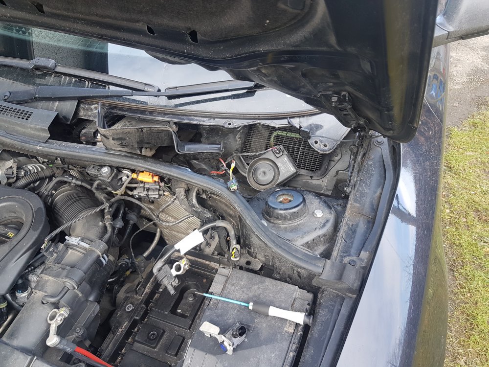 20180328_100304.jpg