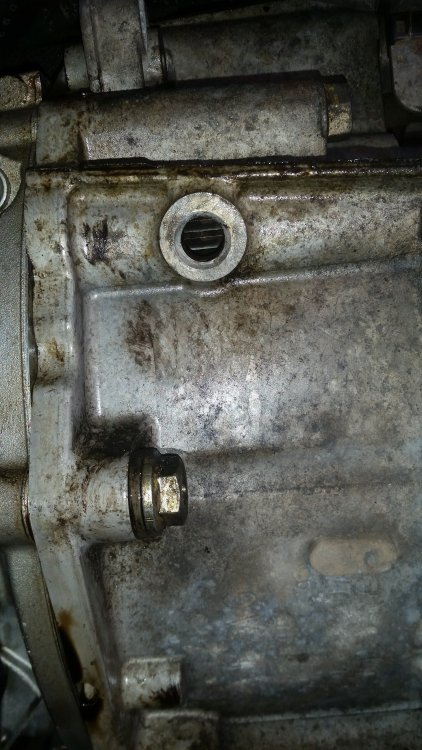 20180406_120924.jpg