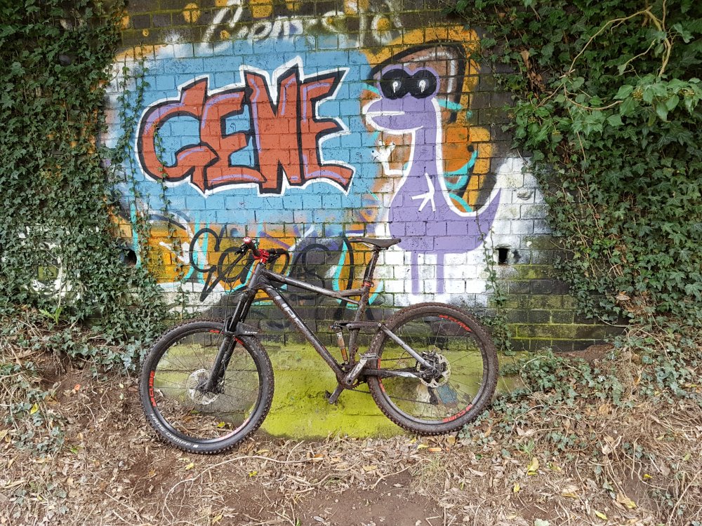 20180407_125541.jpg