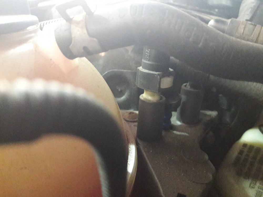 20180415_155408.jpg