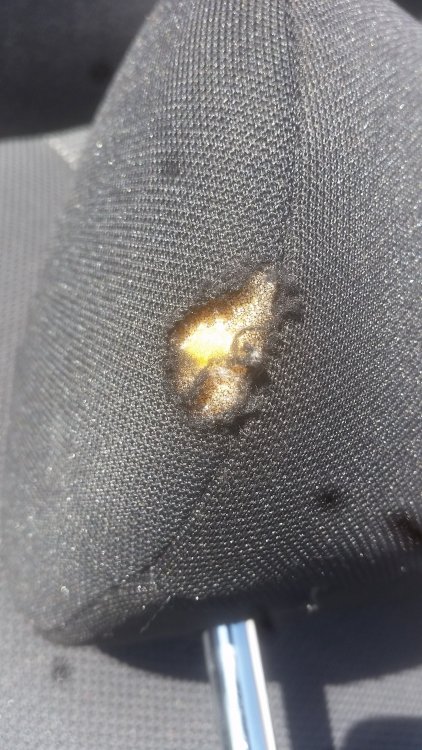 20180419_134552.jpg