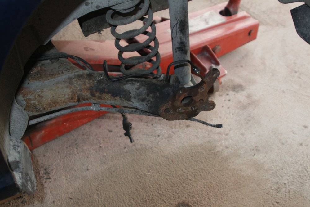 fabia bremser skjoldIMG_2463.jpg