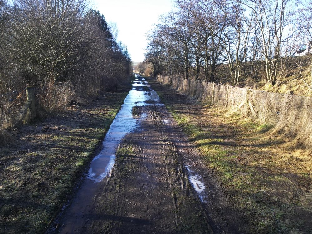 DSCN0115.JPG