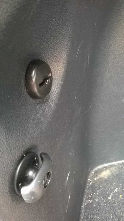 WP_20180423_09_42_04_Pro.thumb.jpg.2eb39f6cbfade325e6003864b7fa95f2.jpg
