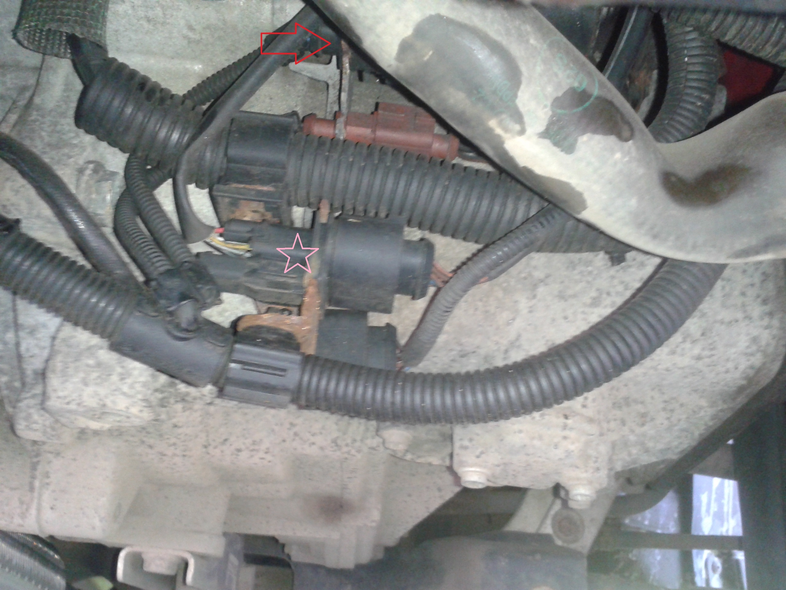 鍔 Boală fructe engine control module 01314