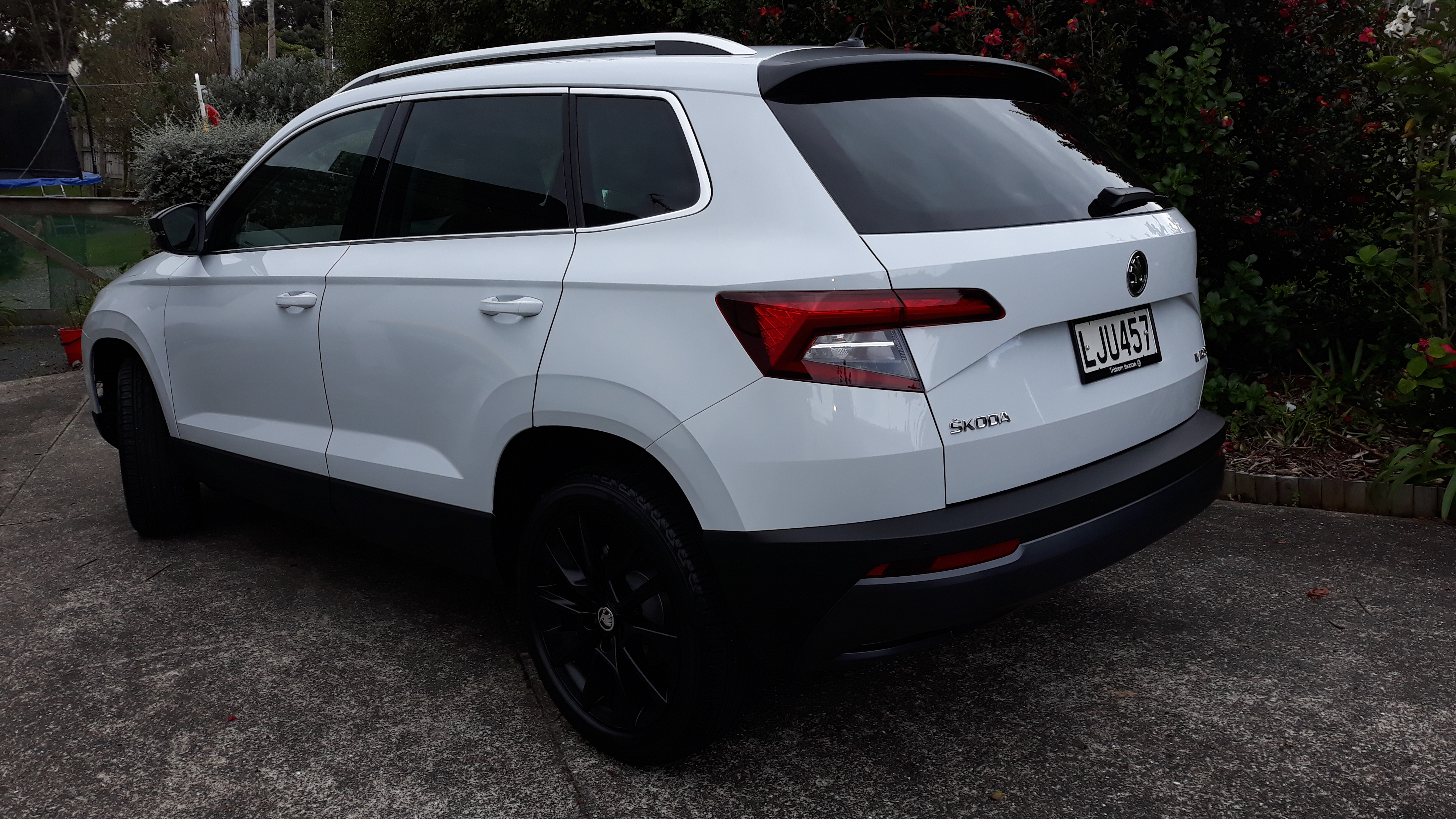 Skoda surround что это