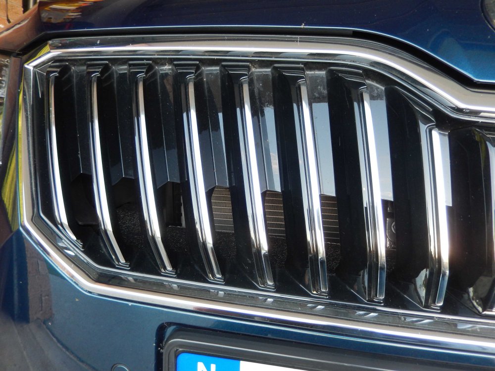 Grille LH.jpg