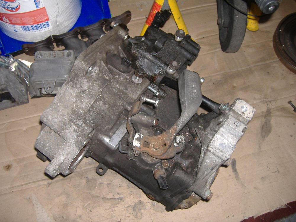 DSCF4151.thumb.JPG.47d04c588add7bc1c098b04edd226713.JPG
