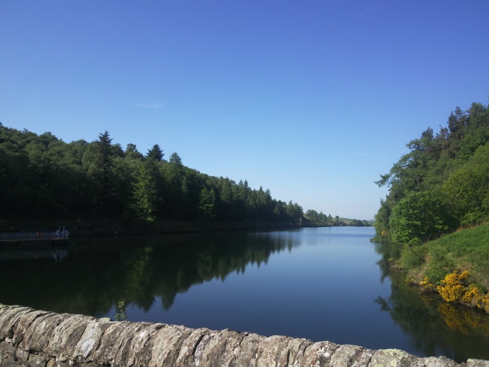 DSCN0671.JPG