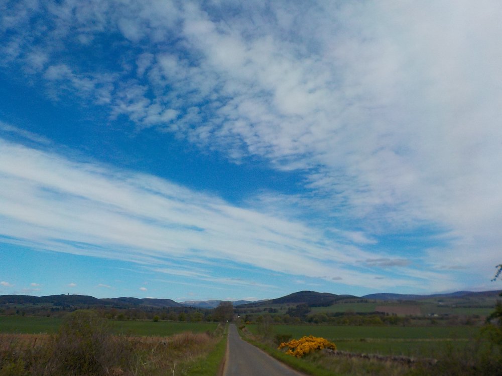 DSCN4006.JPG