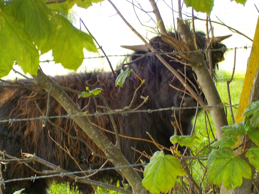 DSCN4062.JPG
