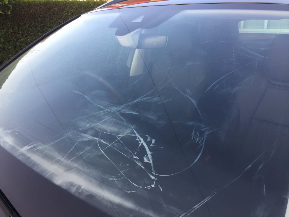 windscreen.jpg