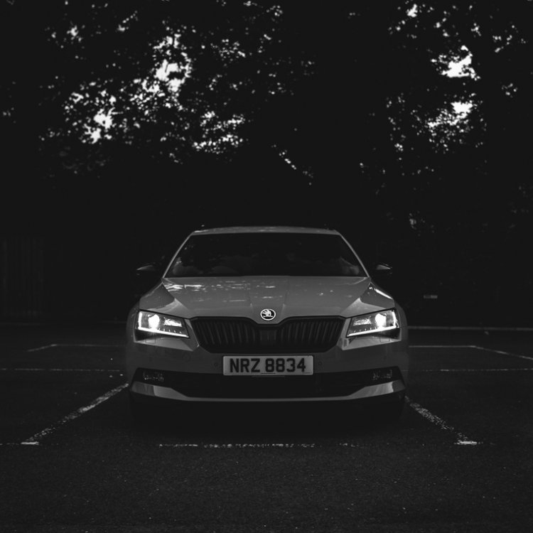 20180604_superb-7773.jpg