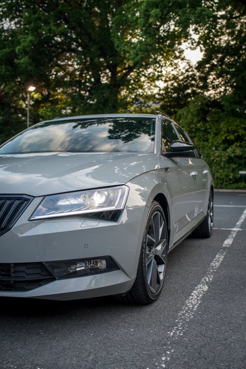 20180604_superb-7781.jpg
