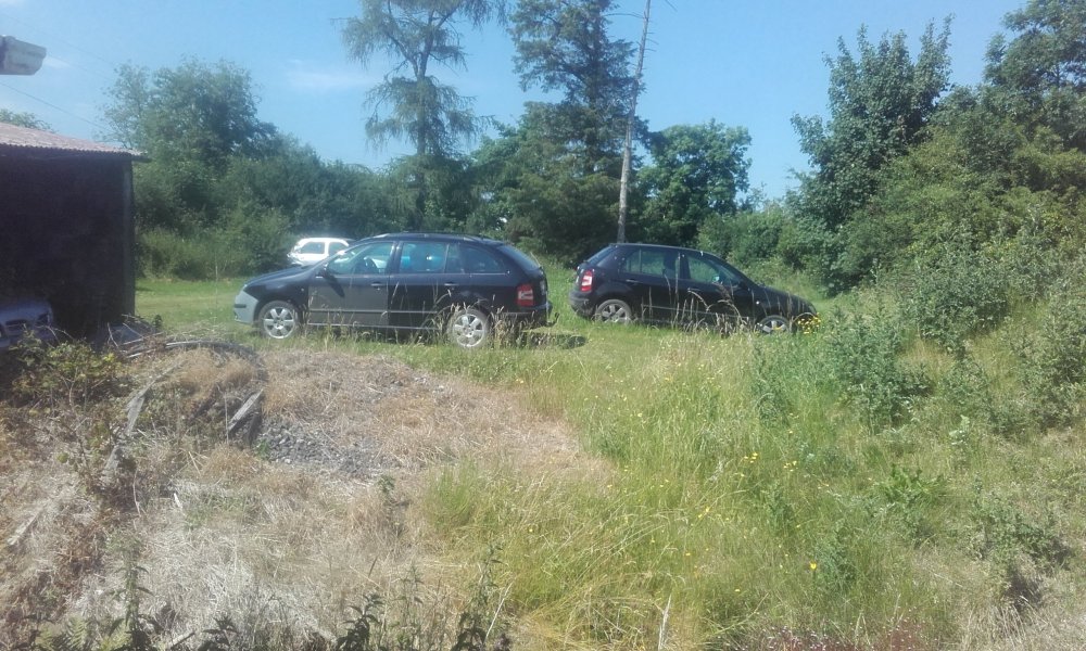 20180630_154137.jpg