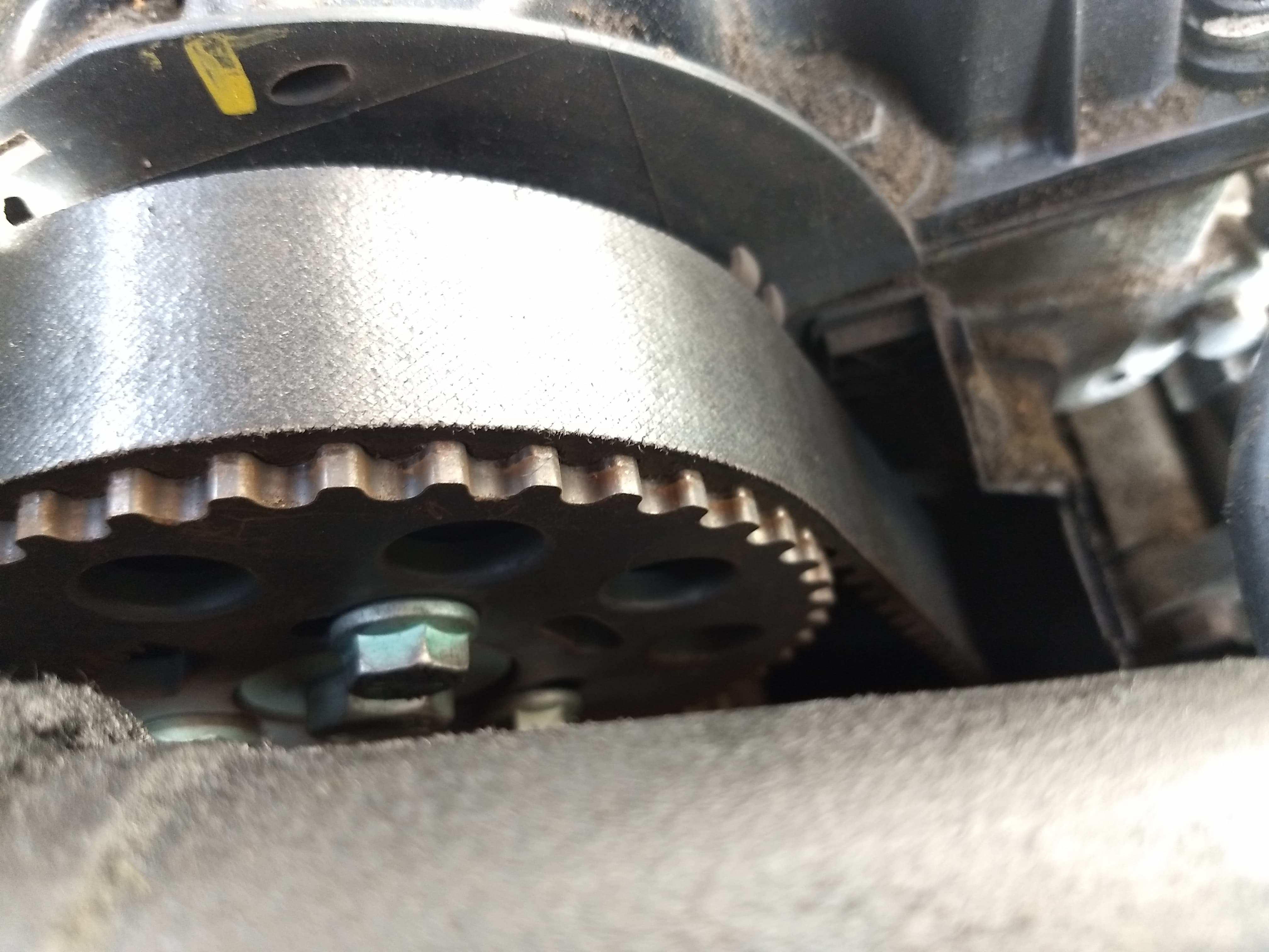 Timing belt over the change limit Skoda Fabia Mk I (19992007) BRISKODA