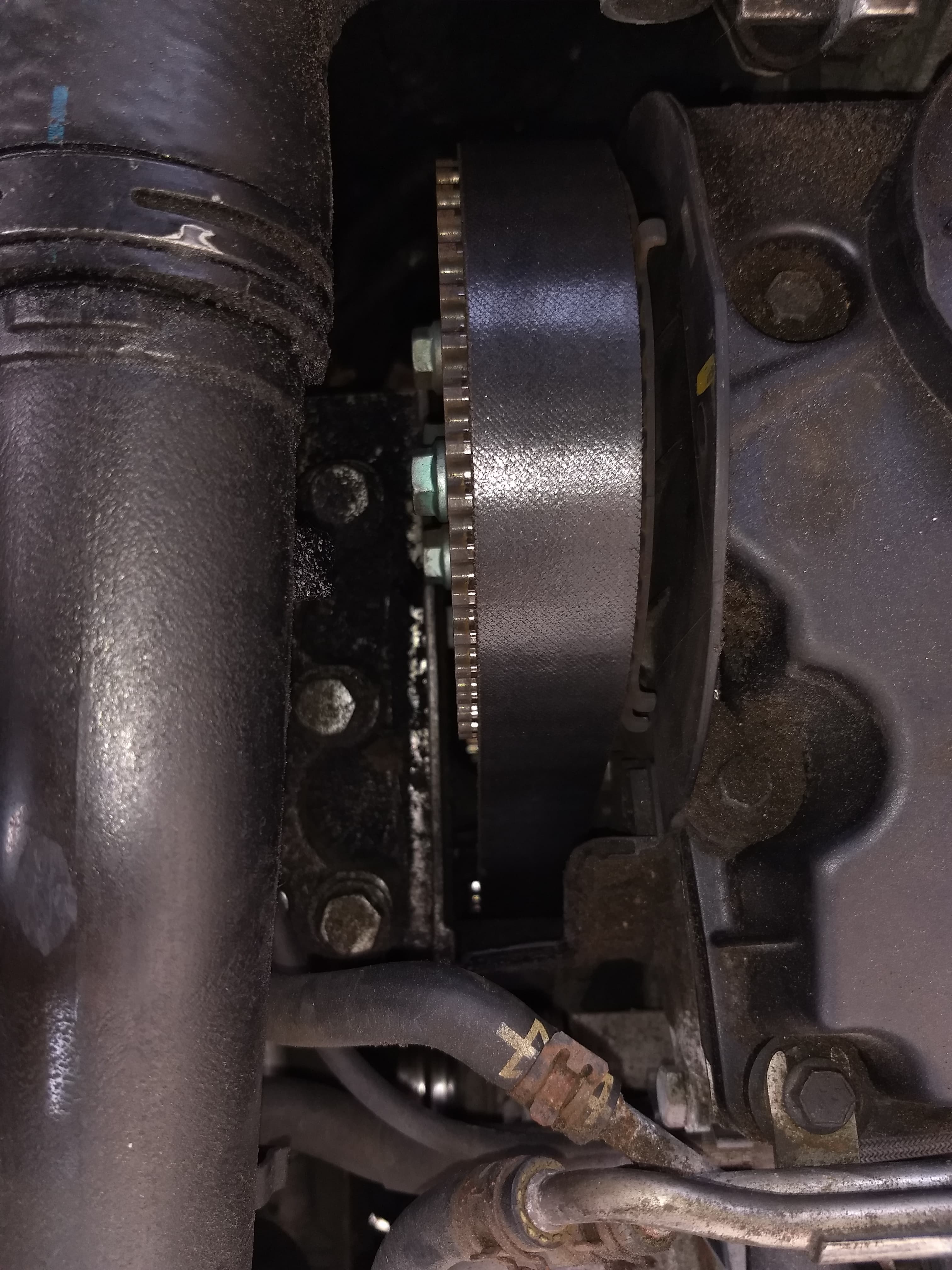 Timing belt over the change limit Skoda Fabia Mk I (19992007) BRISKODA