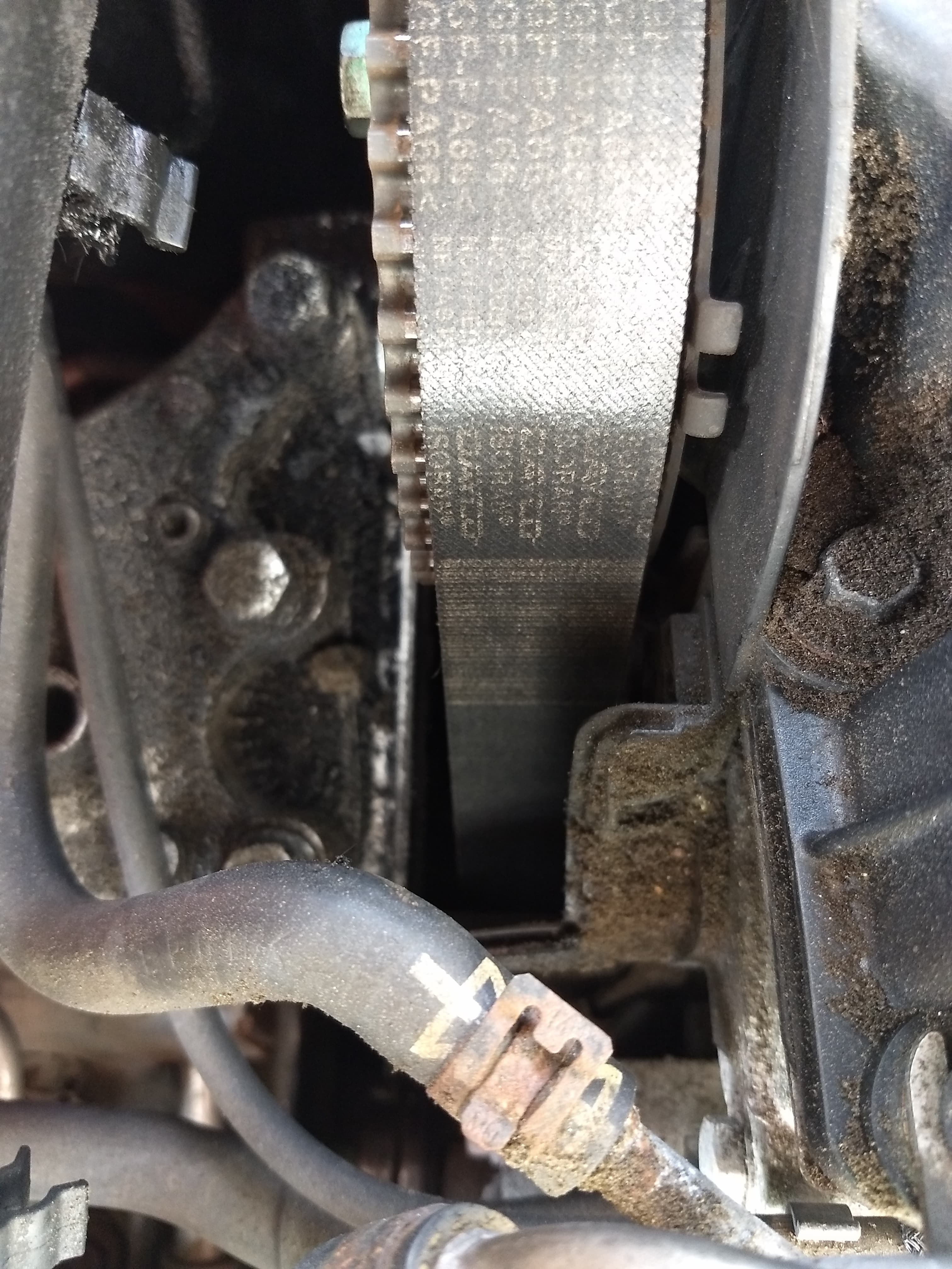 Timing belt over the change limit Skoda Fabia Mk I (19992007) BRISKODA