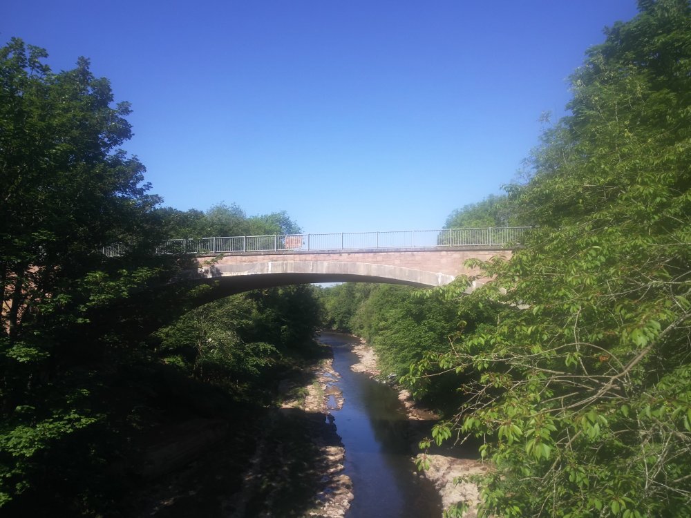 DSCN0908.JPG