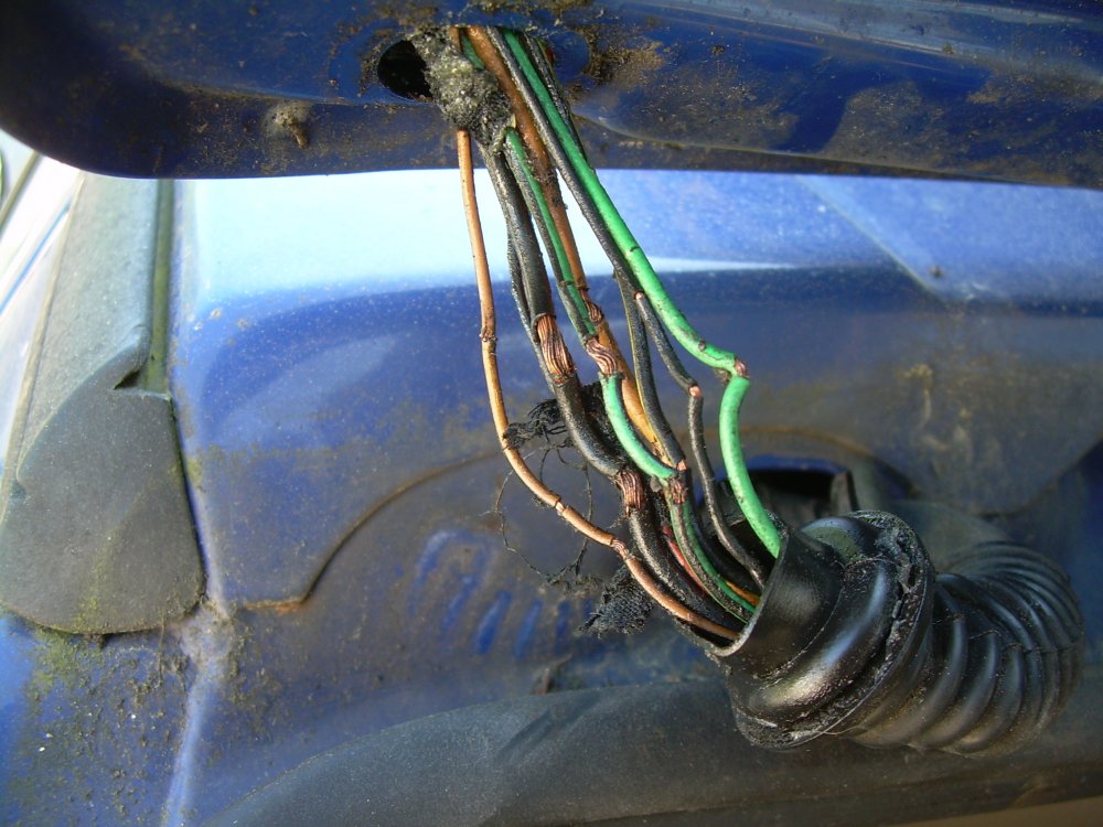 DSCN7199.JPG