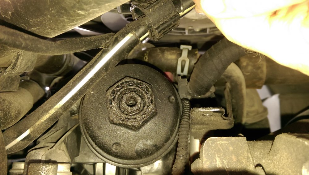 1.6TDi oil filter location? Skoda Octavia Mk III (2013 2020) BRISKODA