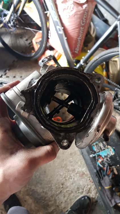 IMG-20180616-WA0004.jpeg