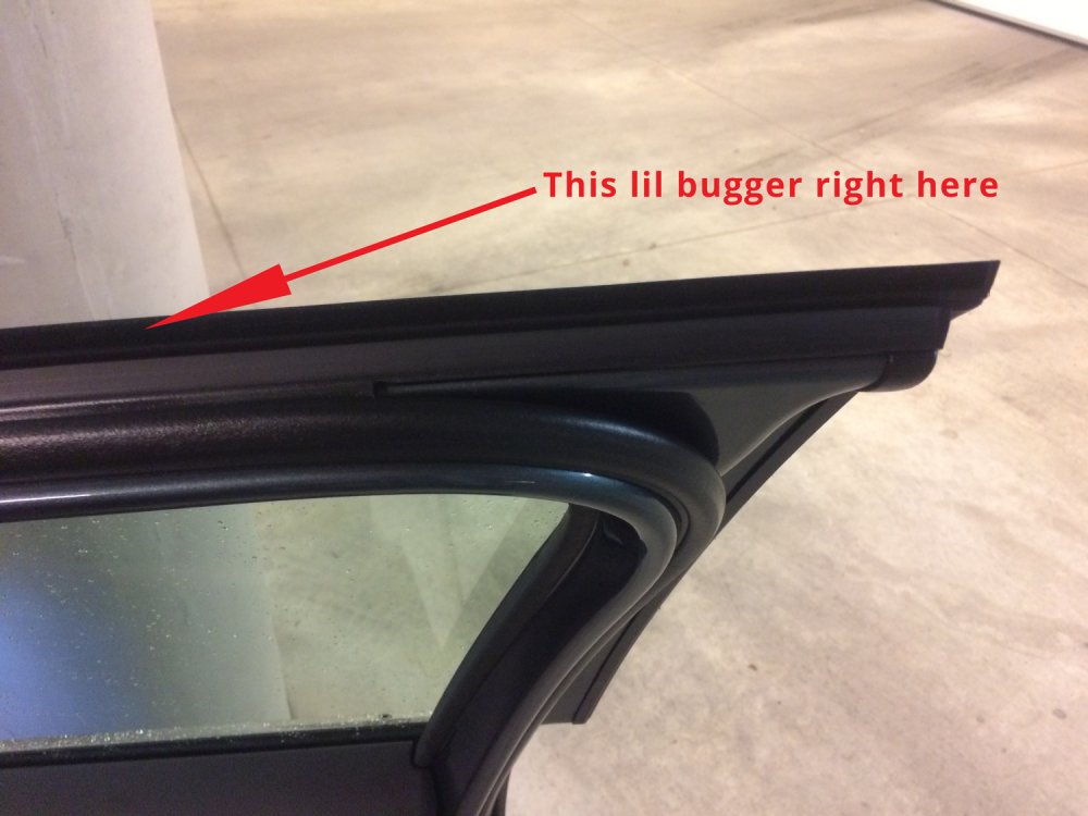 lil-bugger.jpg