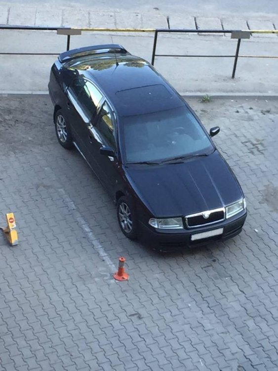 skoda2.jpg