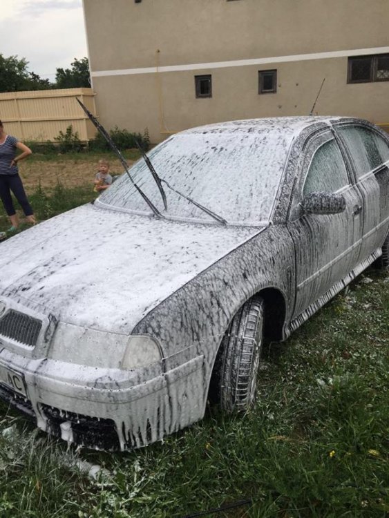 soaked.jpg