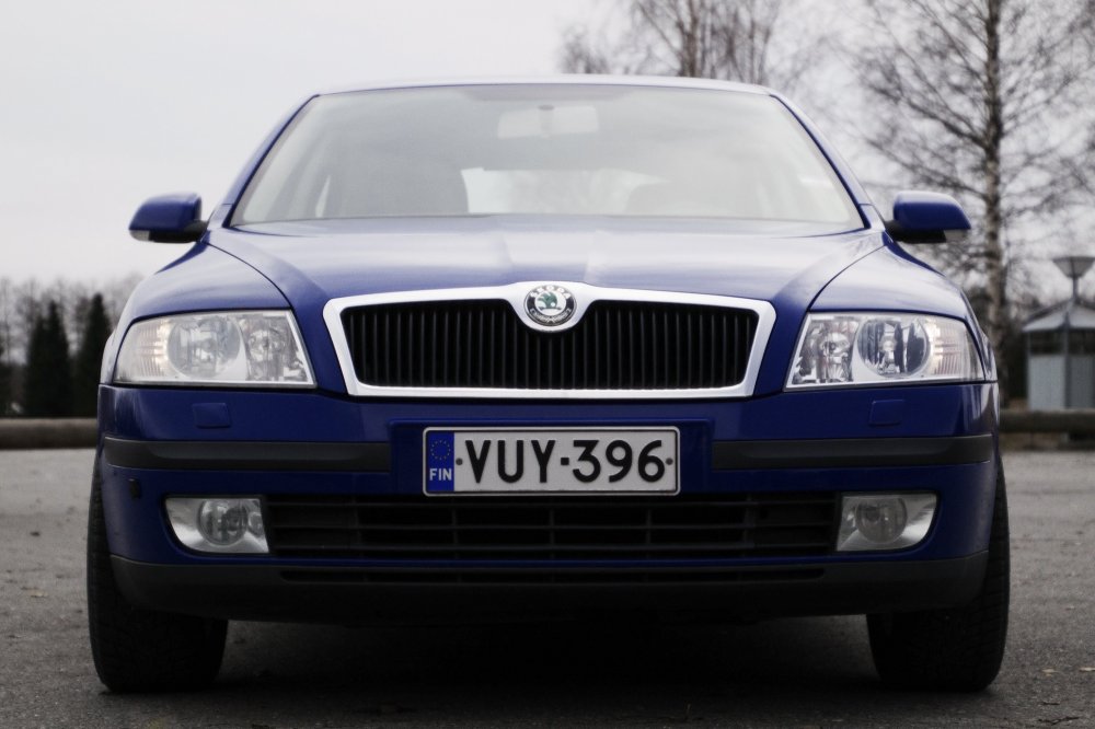 Skoda 1.jpg