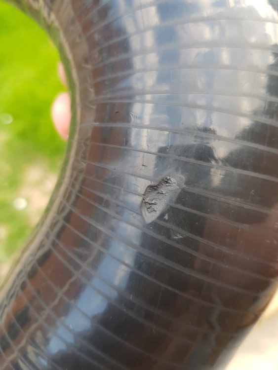 20180706_175005.jpg
