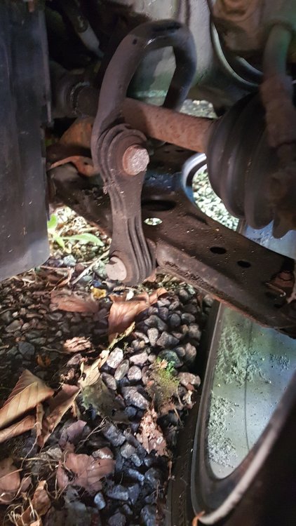 20180711_091922.jpg