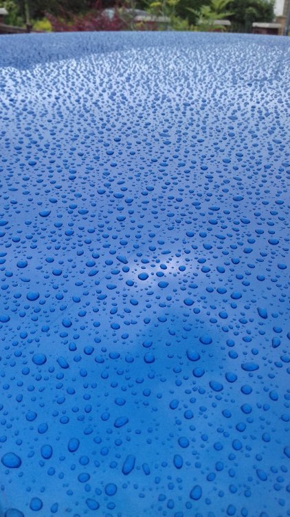 20180716_141535.jpg