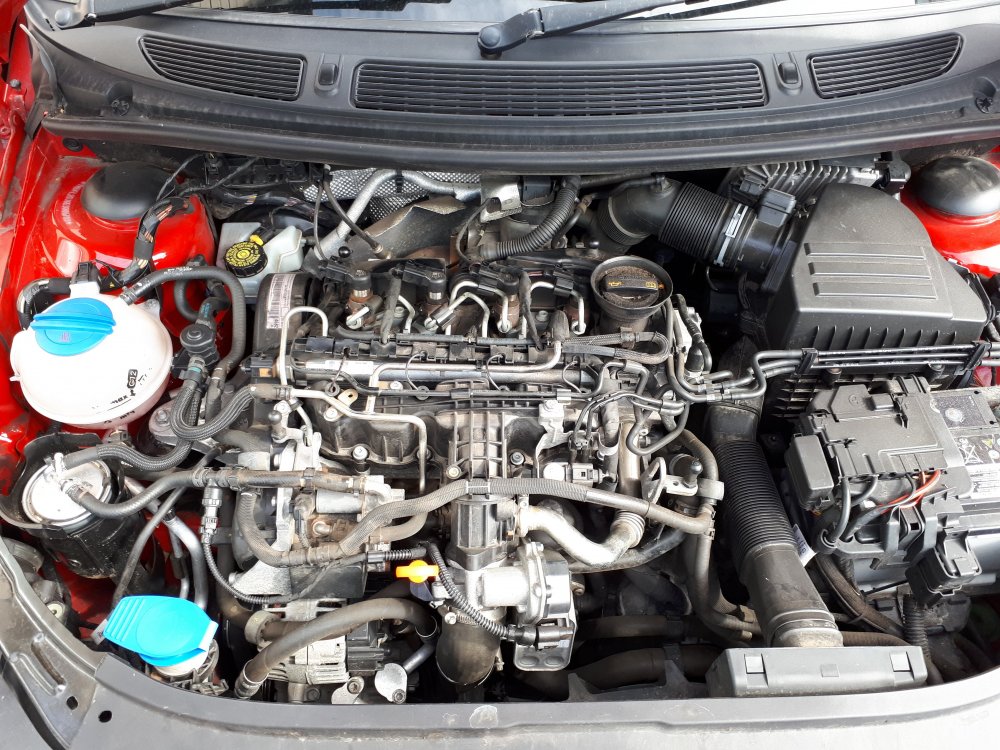 20180721_163424.jpg