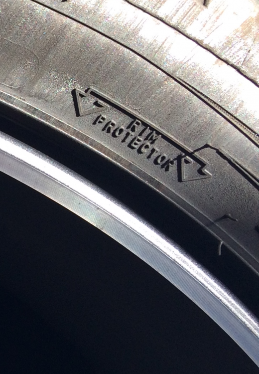 Rim Protector.png