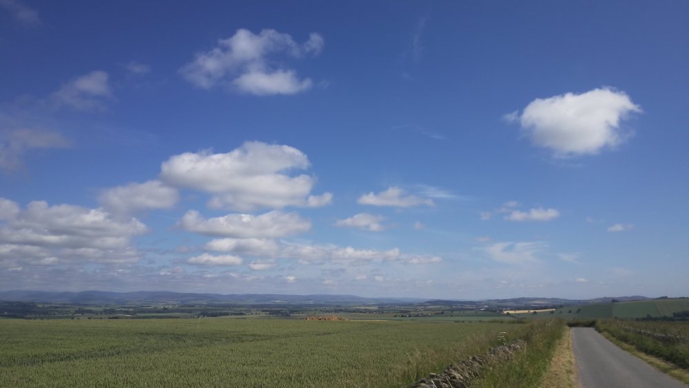DSCN1358.JPG