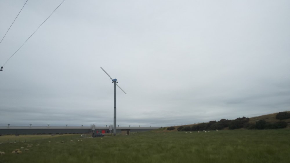 DSCN1465.JPG