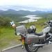 Silverwing