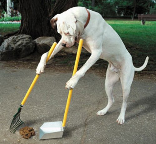 shovel-i.jpg.1f8d19b4721489ce057ec35f9a93dfb7.jpg