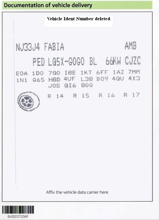 Fabia Codes - Ident removed.jpg