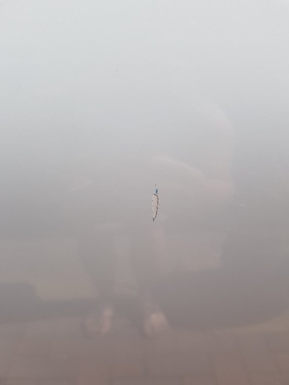 20180622_154626.jpg