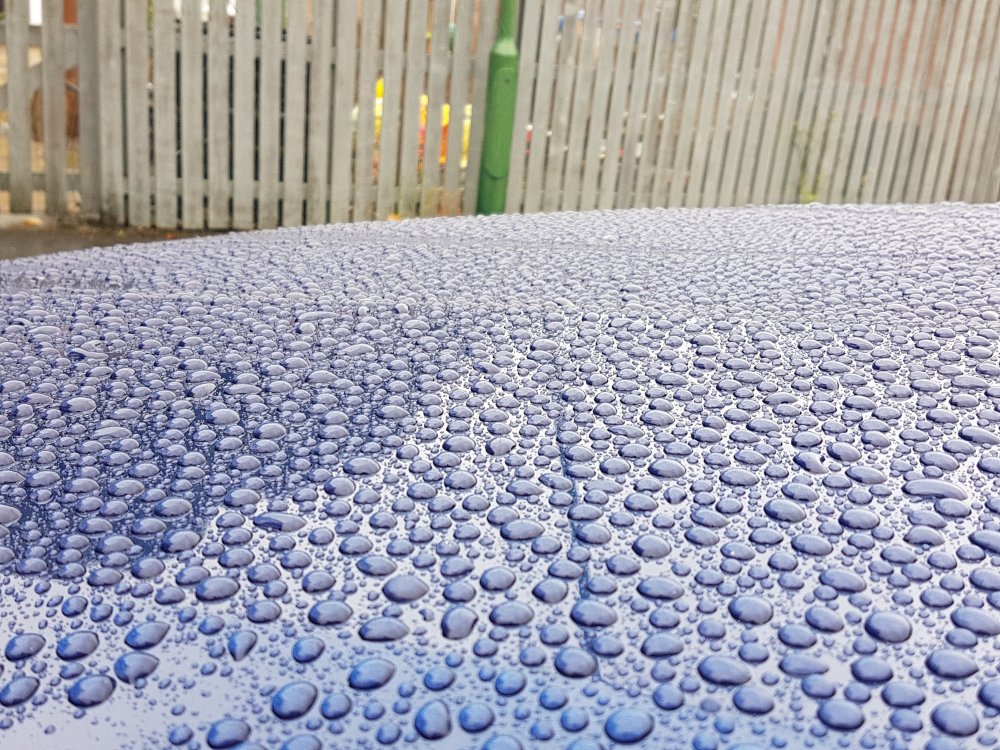 20180729_152639.jpg