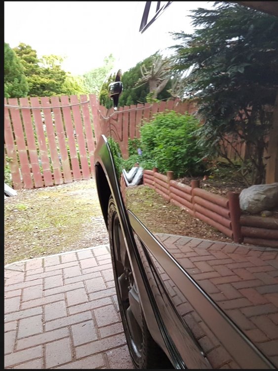 20180807_091030.jpg