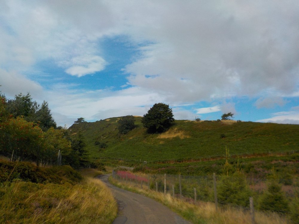 DSCN4263.JPG