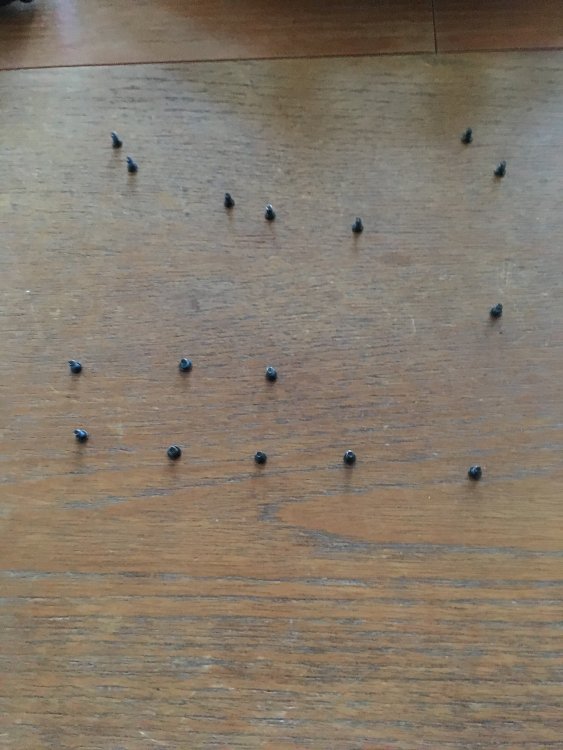 IMG_1002.jpg