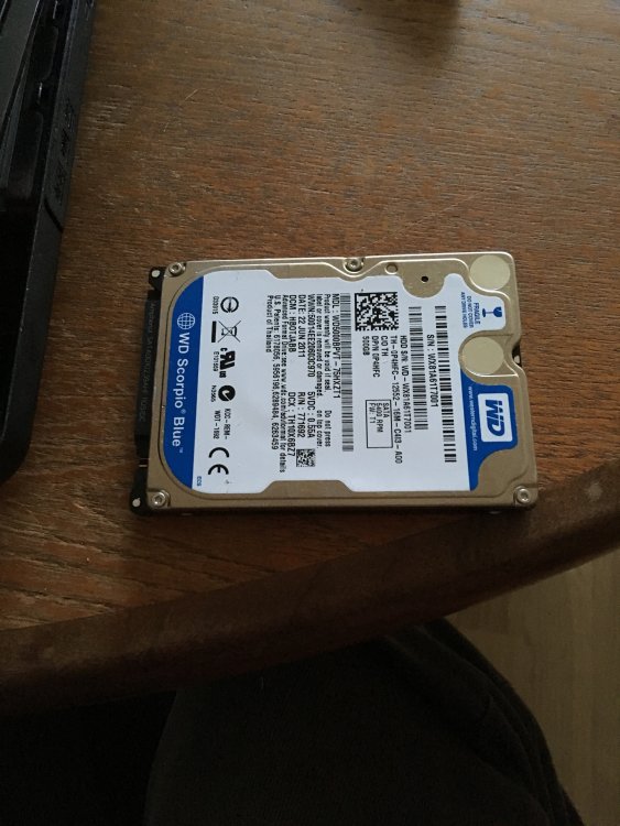 IMG_1006.jpg