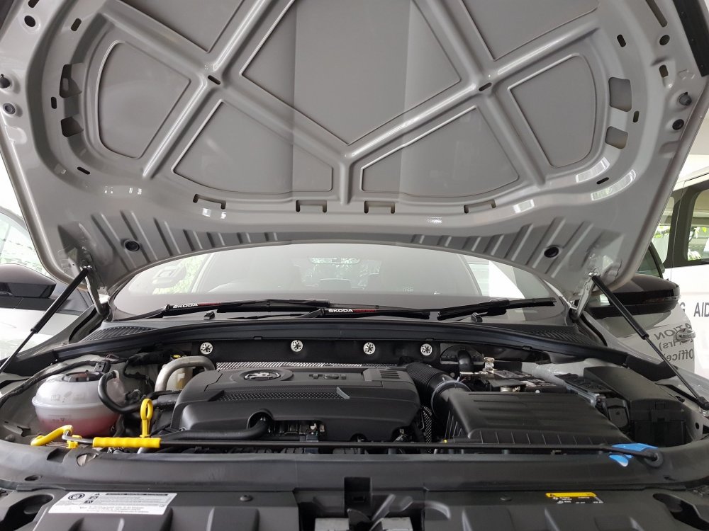1602387871_hoodstruts.thumb.jpg.b7b33d86b3f72a960e8d22cf9505d01c.jpg