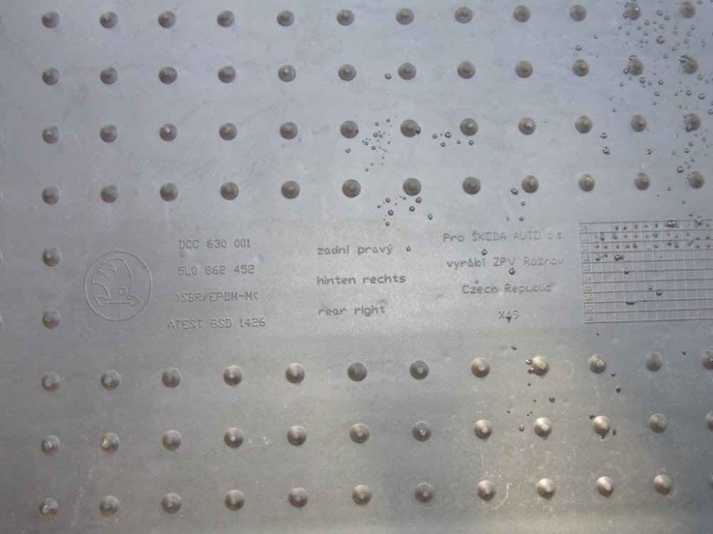 R0028289 (Custom).jpeg